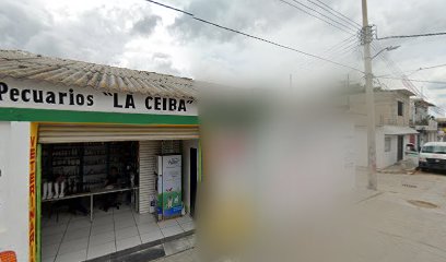 Café TiJoSa