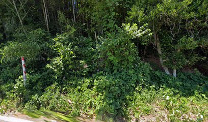 すわ苑特別養護老人ホーム