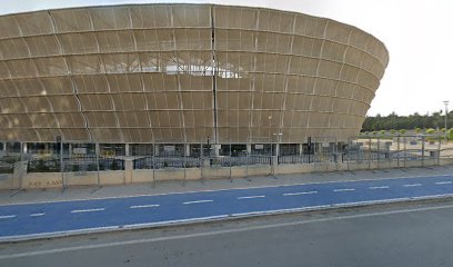 Şimşek Arena