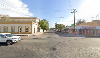 Baja Shark Tours