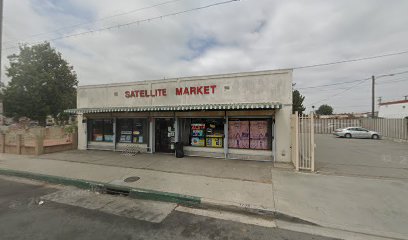 Satellite Market