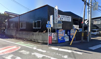 金剛禅総本山少林寺 埼玉 早瀬道院