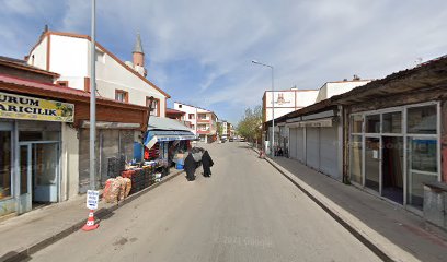 Erzurum Petek Aricilik