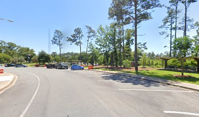 Blueberry Dr Parking