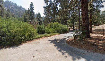 Lions Camp at Wrightwood