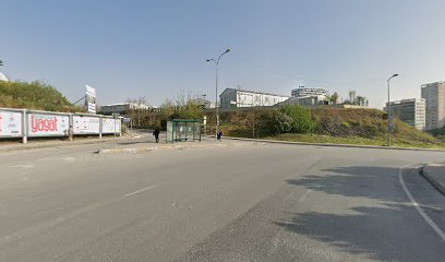 Kadıköy Belediyesi Hayvan Barınağı