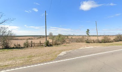 Forestry Department