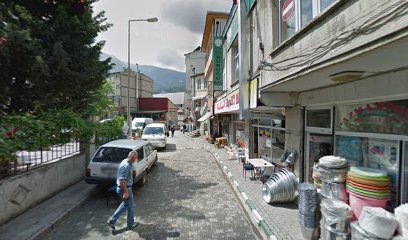 Yeşil Artvin Ekspres