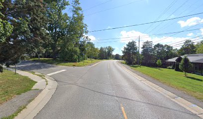 Napanee Tree Service