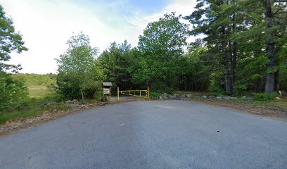 Blueberry Plains Conservation area