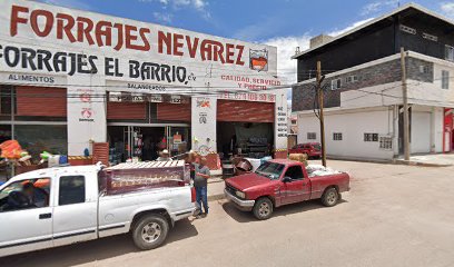 Taller Mecánico y Servicios RG - Taller de revisión de automóviles en Santiago Papasquiaro, Durango, México