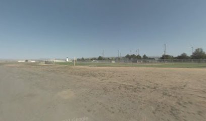 Field 4