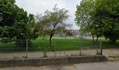 Basketball court