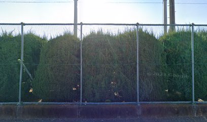 あずま総合運動公園野球場