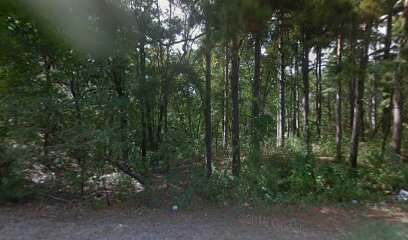 Beard's Bluff Boat Ramp