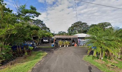 Hawaii Technical School-Drivers