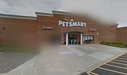 PetSmart Dog Training