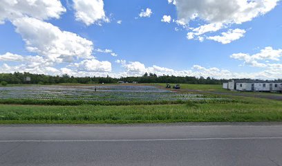 Au jardin de Florence