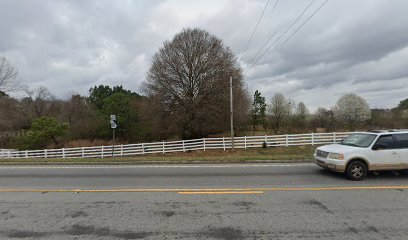 Mobile Mechanics of West Ga.