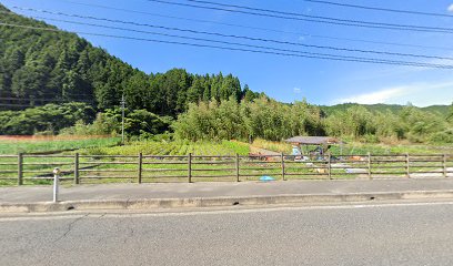 しまだ農園・シノサカ体験菜園