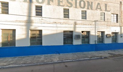 Liceo Profesional De Comercio Y Administración, A.C.
