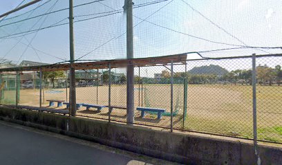 新保公園野球場