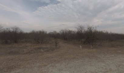 Dragonfly Interpretive Trail, .5 mile