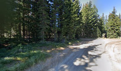 Glidden Lk Trail Head