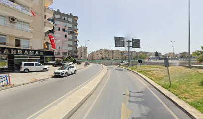 Mersin İnsecto İlaçlama