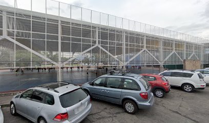 Canchas de basquetbol 'El Venus'