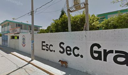Escuela Secundaria General 'Ingeniero' Antonio García Cubas