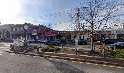 Tree Company in The Lindenhurst