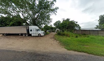 Compra y venta de limon persa (Citricos Rosales s de pr de rl)