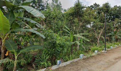 Makam laki-laki nggedong