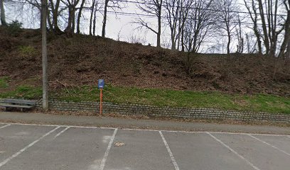 Parking Blereberg