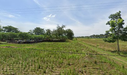 Makam ibu samini