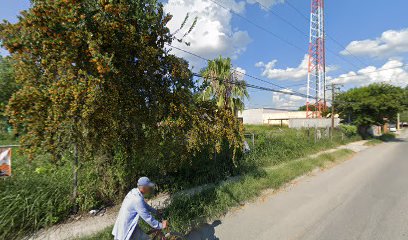 TERRENO EN RENTA