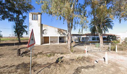 Santa María dеl Camino - Montijo