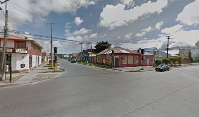 Centro Austral Detox, Aloe Vera Punta Arenas