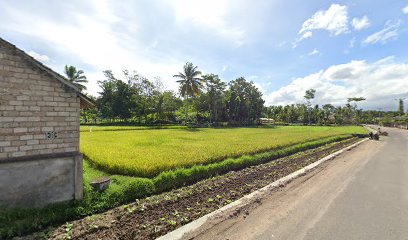 Pemakaman Umum Bingkok, Montong Gamang