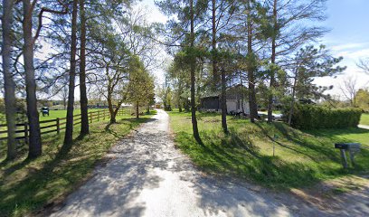 Absolute equestrian ranch