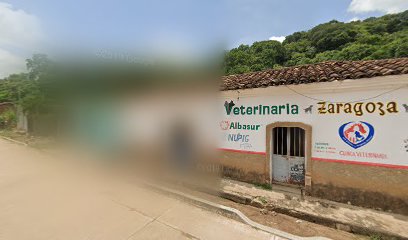 Veterinaria Zaragoza ¨II¨