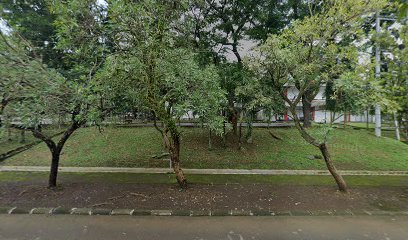 Lapangan Voli FSM Undip