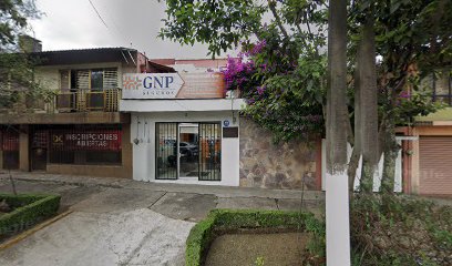 Consultores GNP Xalapa
