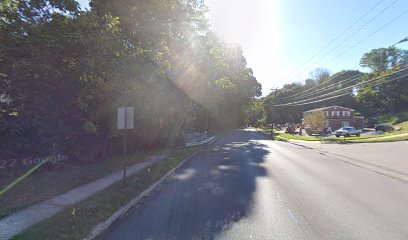 Springfield Trail - West Woodland Avenue - Bottom of Hill (Sidewalk Section)