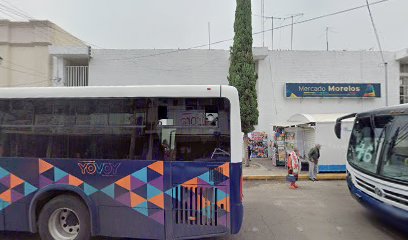 La casa de las mascotas