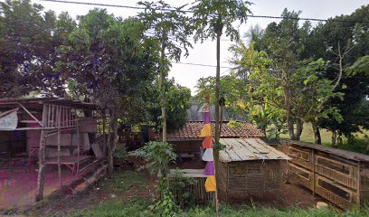 RUMAH KEBUN TANAMAN BUAH