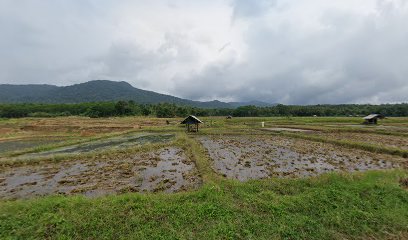 KB Mekar Mukti