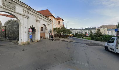 Statni oblastni archiv v Litomericich - Statni okresni archiv Decin - knihovna