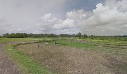 Kebun kangkung